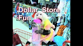 Shop With a Monkey Pet [upl. by Dlorah]