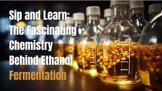 Sip and Learn The Fascinating Chemistry Behind Ethanol Fermentation 🥂📚 [upl. by Ertemed]