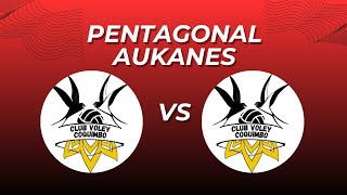 Pentagonal Aukanes CVC A vs CVC B [upl. by Acinorej896]