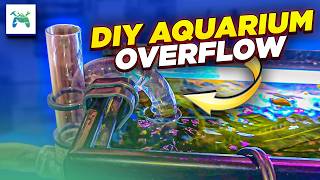 How to make a fish tank overflow without drilling the glass DIY Overflow for Aquariums [upl. by Bravar92]