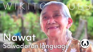 The Nahuat language casually spoken  Nantzin speaking Nawat  Wikitongues [upl. by Aroved]