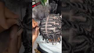 locs nycbraids hairstyles nycstylist hairstyle nycbraider locshairstyles newyorkhair hair [upl. by Kariv]