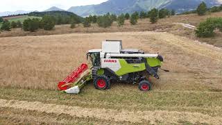 NEW Claas Trion 540 Montana 4 [upl. by Kristian219]