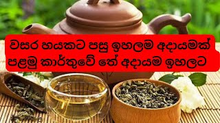 පළමු කාර්තුවේදී සාර්ථක වූ ලංකාවේ තේ අපනයනය  වසර හයකට පසු ඉහලම අදායමක්  Tea Export first quarter [upl. by Giles]