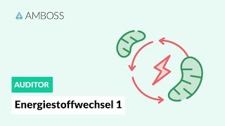 Energiestoffwechsel Teil 1  Woher bezieht der Körper seine Energie  AMBOSS Auditor [upl. by Aitnyc]