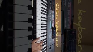 Chellama keyboard cover Anirudh bday special anirudh music viralvideo piano remix reels [upl. by Harland]