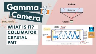 Gamma camera  Components amp Function l Visual explanation [upl. by Sillyhp50]