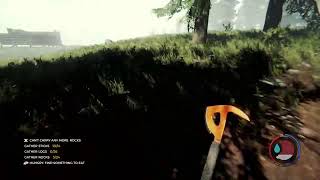 The Forest  Live Stream Mit couseng [upl. by Sauncho]