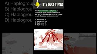 Scandinavian mtDNA haplogroup maternal linage [upl. by Wardle945]