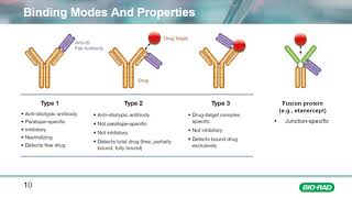 Transform Your Bioanalytical Assay Development with TrailBlazer Antibodies [upl. by Janean]