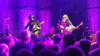 THE FUZZTONES  Strychnine 4K ULTRA HD Live 17324 [upl. by Lancelot]