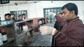 Preparation of Barium Sulphate from Barium Chloride Double Displacement reaction [upl. by Ahsienroc202]