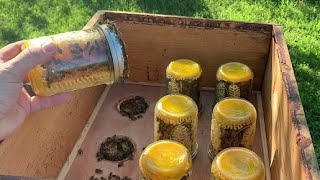 MasonJar Comb Honey  Beekeeping [upl. by Guimond]