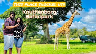 Knuthenborg Safari Park  Where the wildlife is free   Maribo Sjælland  Denmark [upl. by Oliana]