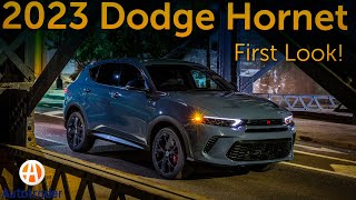 2023 Dodge Hornet First Look [upl. by Lumbard928]