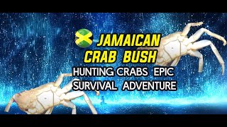 Jamaican Crab Hunting  Crab Bush From Novice to Pro  Learning the Ropes of Catching Crabs [upl. by Pages]