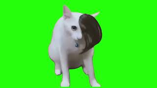 Emo Cat Green Screen [upl. by Airpac]