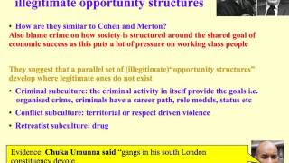 subcultural theory of crime and deviance [upl. by Hugh9]