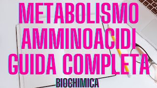 Metabolismo aminoacidi biochimica guida completa a capitoli [upl. by Radie]