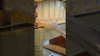 Finally harvesting honey from the Flow Hive Pt3 beekeeping bees flowhive honey honeyharvest [upl. by Kabob596]