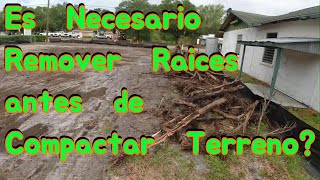 Es necesario remover raices antes de compactar Terreno [upl. by Culbert950]