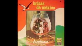 Brisas de Mexico Dicen que tu [upl. by Spring]