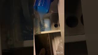 Handdoeken wasje 50 graden 1400 toeren shorts asmr wasmachine [upl. by Zebaj465]