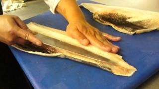 How to fillet a black cod by linsan [upl. by Ahseal]