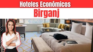 Hoteles Baratos en Birganj [upl. by Mcfarland]