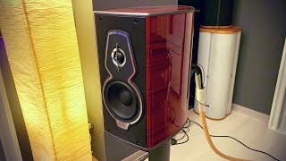 NEW Sonus faber GUARNERI G5 4Kᵁᴴᴰ with Accuphase E380 [upl. by Noyad]