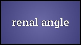 Renal angle Meaning [upl. by Nageam]