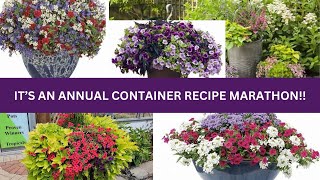 Annual Flower Container Marathon [upl. by Esialb]