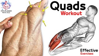 11 Easy Exercises Quadriceps Workout  Leg Day [upl. by Sparhawk]