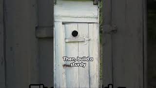 DIY Outhouse A StepbyStep Guide [upl. by Amimej]