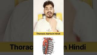 Thoracic Aorta In Hindi quiz anatomy [upl. by Sell706]