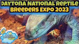 Daytona National Reptile Breeders Expo 2023 VIP Day [upl. by Vashtee]