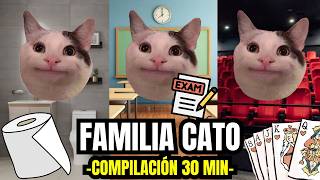 FAMILIA CATO  compilación 30 minutos meme de gatos [upl. by Aihsemot]