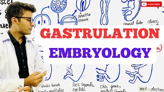 Embryology  Gastrulation [upl. by Robbyn]