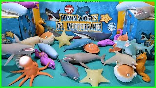 DOMINADORES DEL MEDITERRANEO  JUGUETES BLANDITOS [upl. by Iot774]