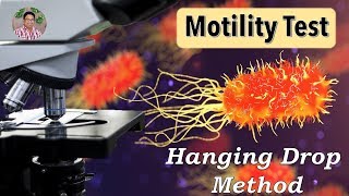 Bacterial Identification Tests Motility Test Hanging drop method [upl. by Aseefan]