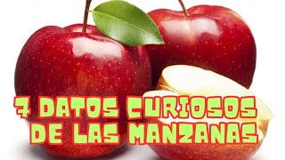 7 datos sorprendentes 😱 que nunca imaginaste sobre las manzanas 🍎 en este 🤩 2023 [upl. by Irwinn]