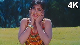 4K VIDEO Meri Jaan Mera Dil  Daanveer Movie  Mithun amp Rambha  90s Udit Narayan amp Sadhana Sargam [upl. by Adgam661]