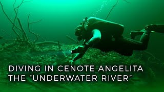 Diving in the Worlds Only quotUnderwater Riverquot Cenote Angelita in Tulum Mexico [upl. by Zandt]