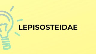 What is the meaning of the word LEPISOSTEIDAE [upl. by Tareyn]