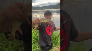 Fishing At Stagecoach Reservoir In Oak Creek Colorado Beautiful Pike fishing shorts world [upl. by Einallem]