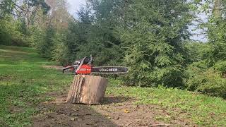 Coocheer 62CC 20quot Chainsaw Review WATCH TILL THE END [upl. by Nylzor779]