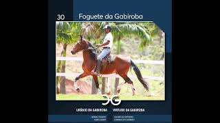 30 Foguete da Gabiroba [upl. by Akina]