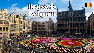 🇧🇪 Brussels Belgium  Flower Carpet and Old Town Tour [upl. by Cherey]