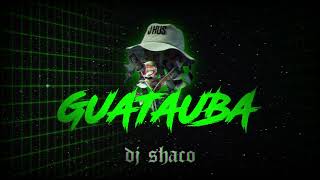 Guatauba Extended Reggaeton Plan B  dj shaco [upl. by Eirotal]