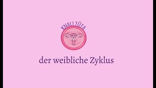 Der weibliche Zyklus [upl. by Orvie14]